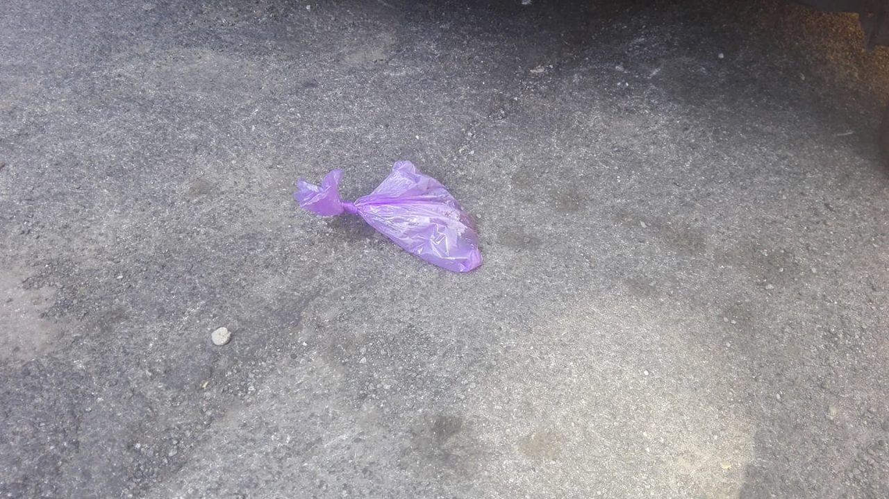 Cacche per terra, parte campagna contro i maleducati