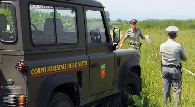 Lombardia, M5s: “51 veicoli del Corpo forestale inutilizzati”
