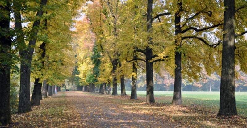 Sostanza sospetta al Parco di Monza “Prestate attenzione”