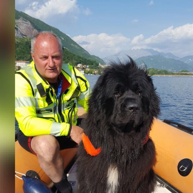 Tuffo a quattro zampe
