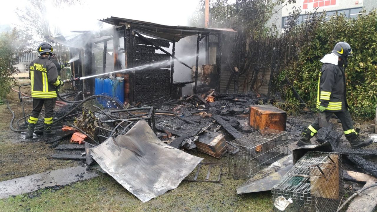 A Desio brucia baracca in legno, salve le capre (VIDEO)