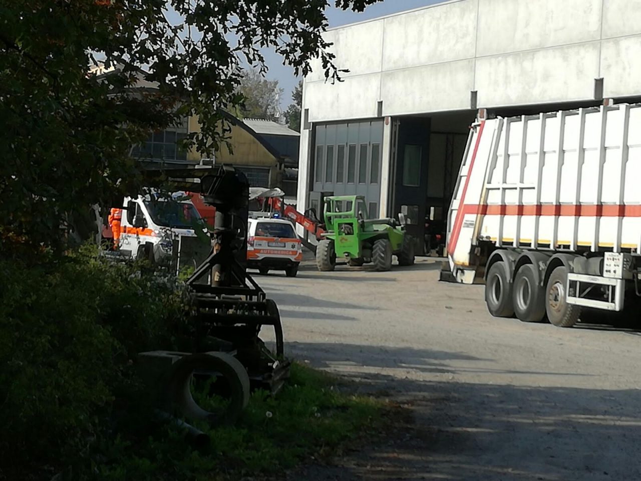 Punto da una vespa, rischia shock anafilattico