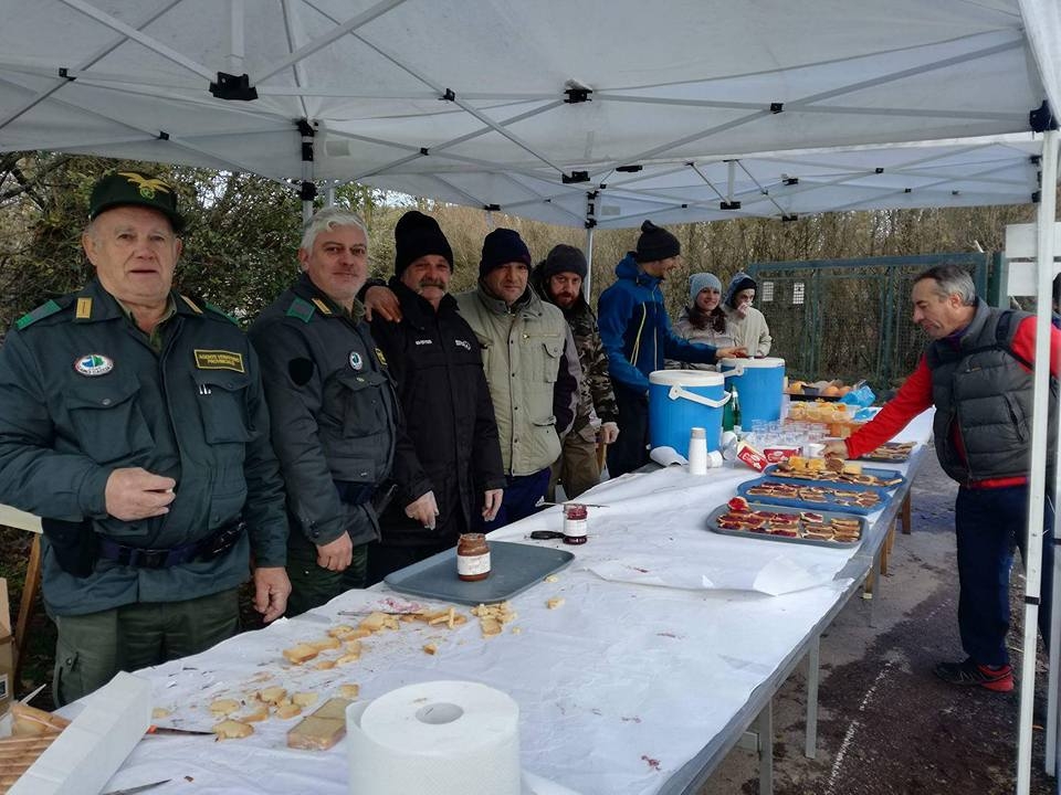 Camminata San Martino da record: in 1.300 in marcia a Veduggio