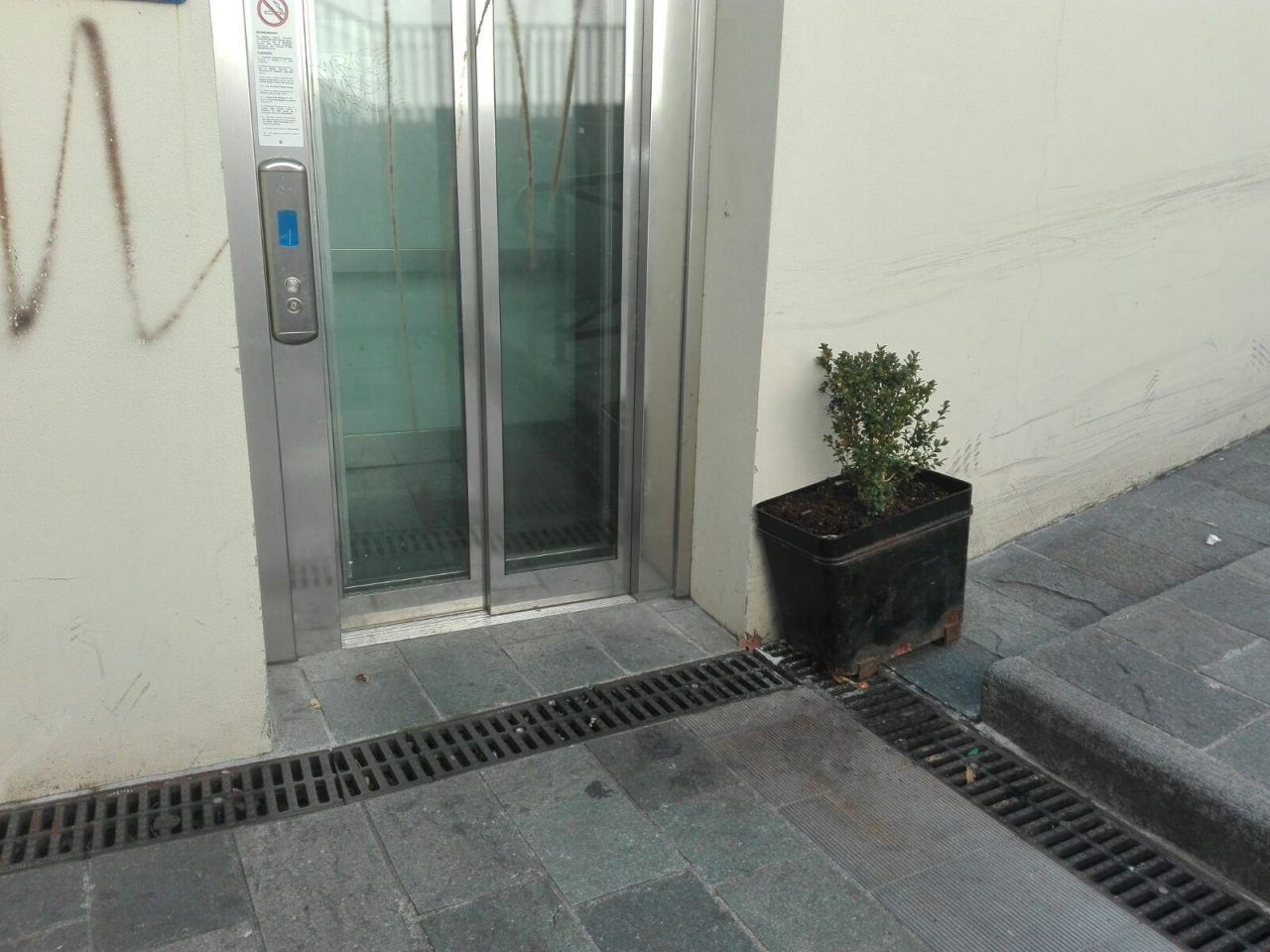 “Stavolta ho vinto io”: nel sottopasso di via Bergamo tornano i fiori
