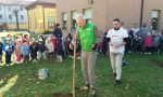 Nuovi alberi nell'asilo di Verano