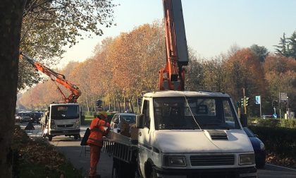 Cresce l'attesa per le luci natalizie in città