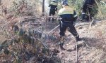 Parco delle Groane a fuoco: quattro mezzi dei vigili sul posto