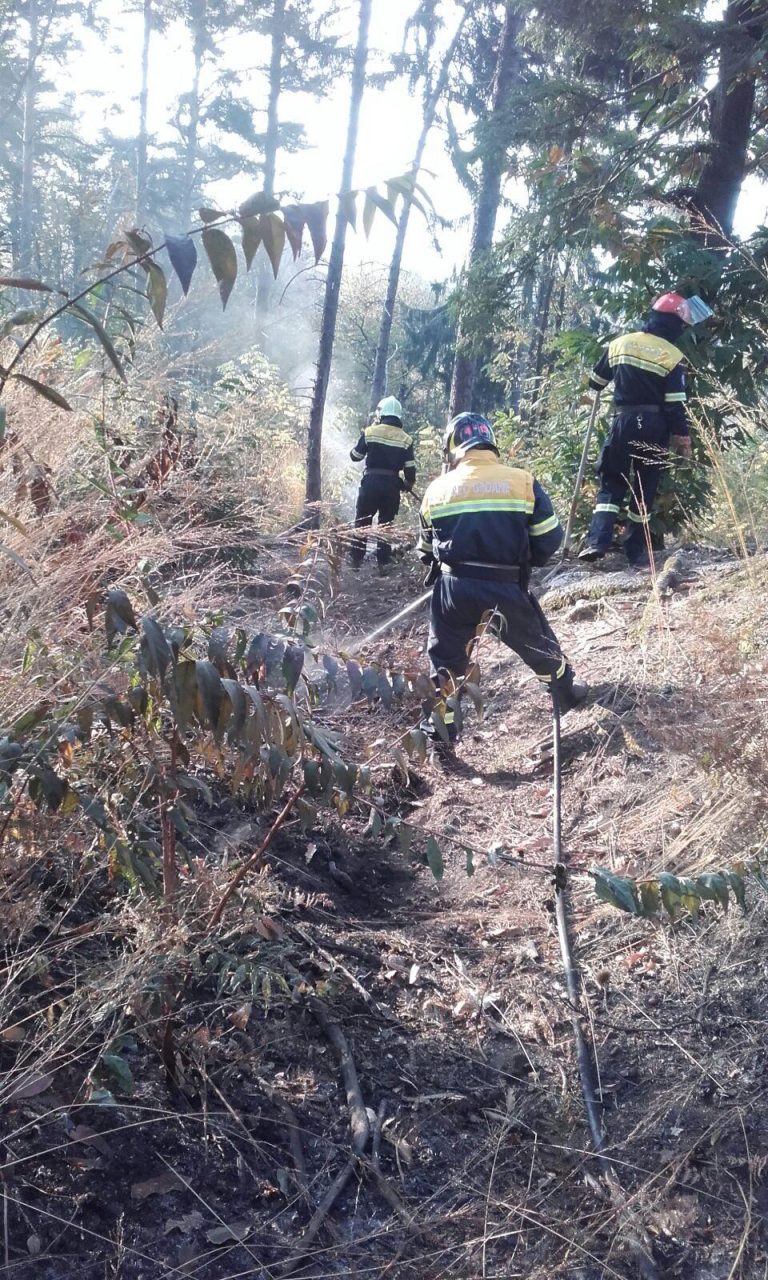 Parco delle Groane a fuoco: quattro mezzi dei vigili sul posto