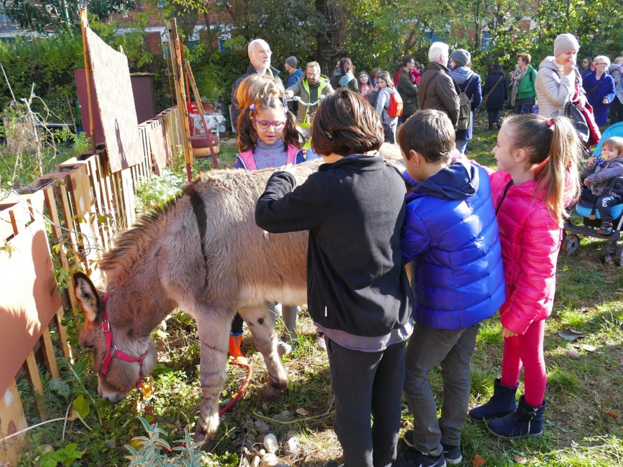 Marcia degli asini: bambini e asinelli per celebrare la giornata dei diritti dell’infanzia – INTERVISTE