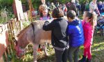 Marcia degli asini: bambini e asinelli per celebrare la giornata dei diritti dell'infanzia - INTERVISTE