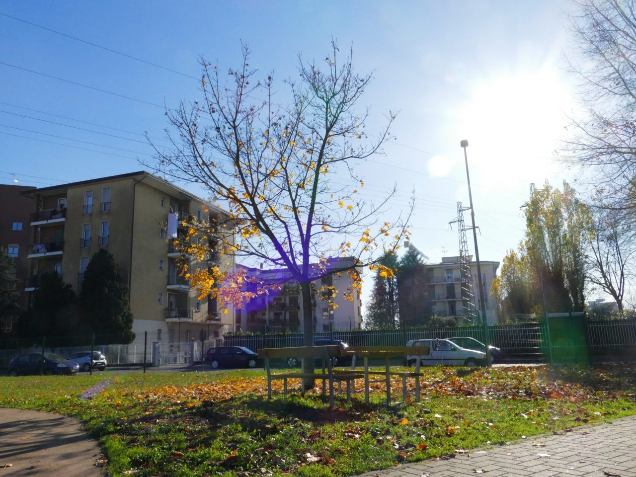 Manutenzione urbana: tutti i lavori effettuati e in corso