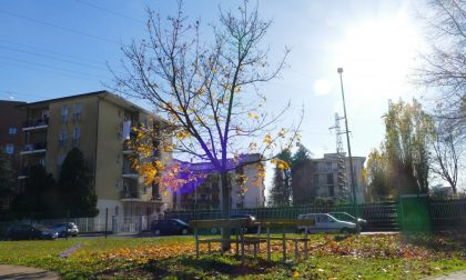 Manutenzione urbana: tutti i lavori effettuati e in corso
