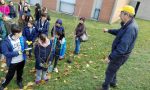 La Festa dell'albero alla media Zucchi LE FOTO e IL VIDEO