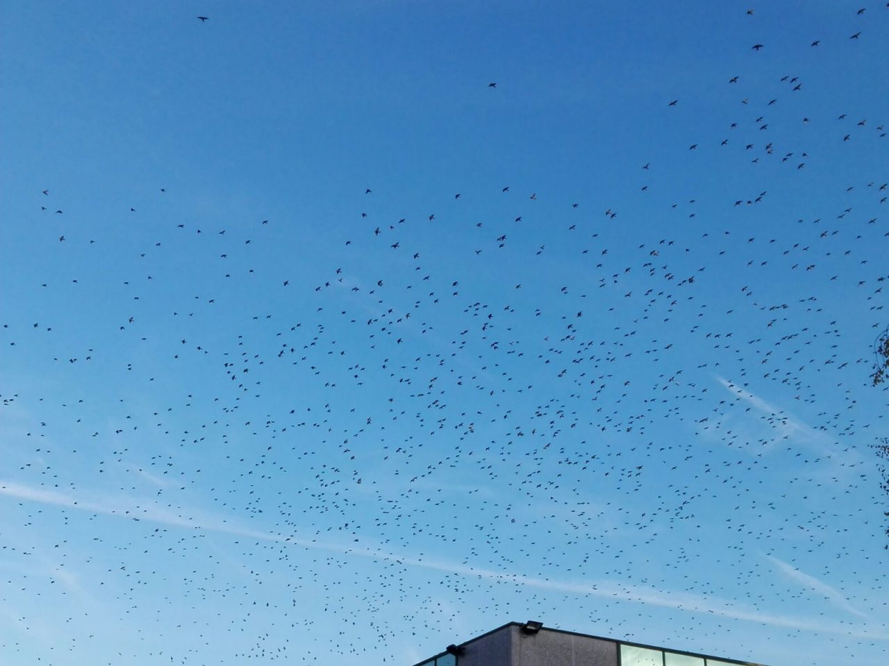 Uno spettacolo (un po’ inquietante) nei cieli monzesi FOTO e VIDEO