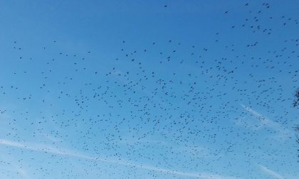 Uno spettacolo (un po' inquietante) nei cieli monzesi FOTO e VIDEO