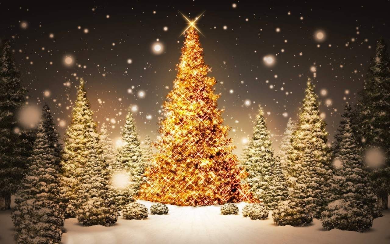 Domenica l’accensione dell’albero di Natale a Ceriano Laghetto