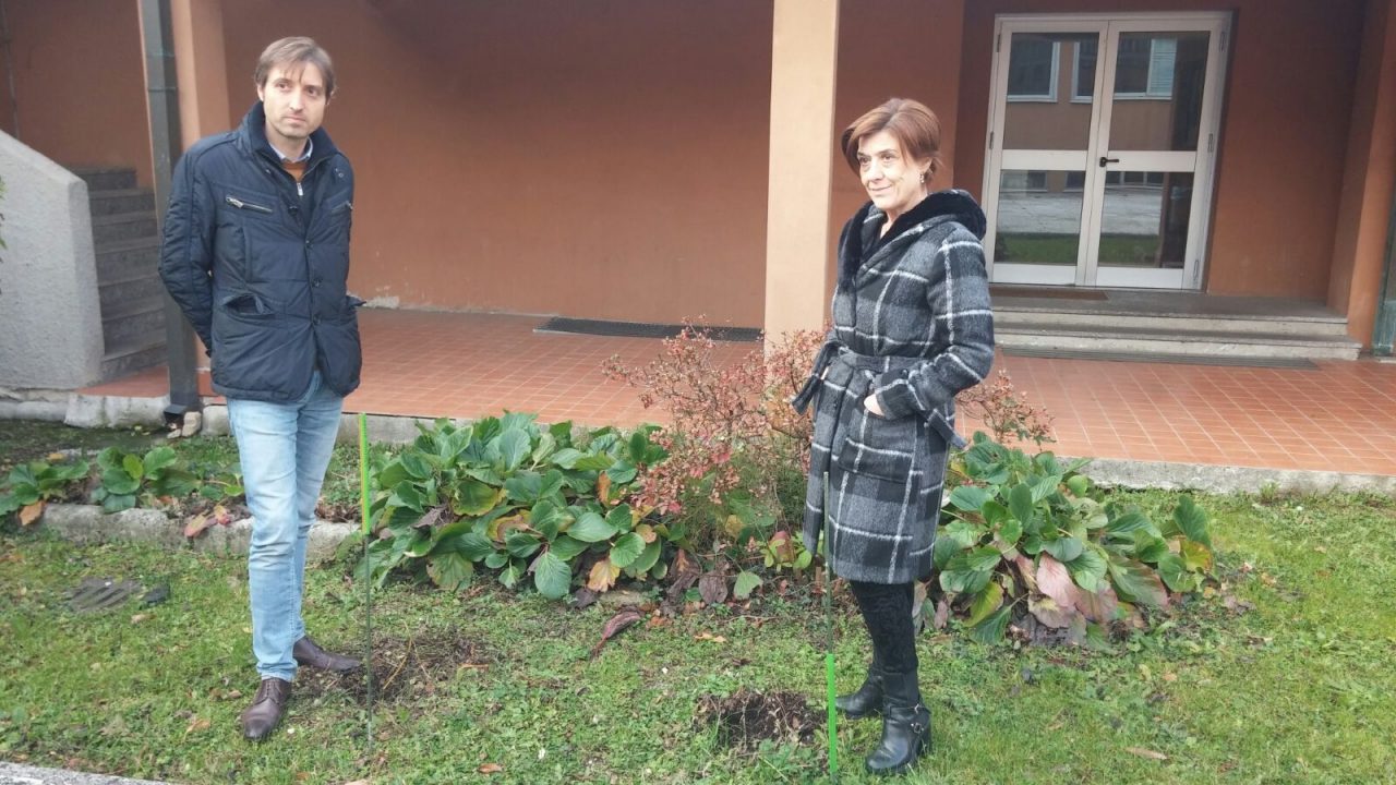 Ladri alle scuole medie rubano le piante degli studenti