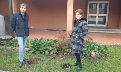 Ladri alle scuole medie rubano le piante degli studenti