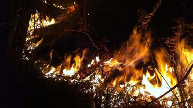 Allarme incendi: da gennaio a fuoco 4.322 ettari in Lombardia