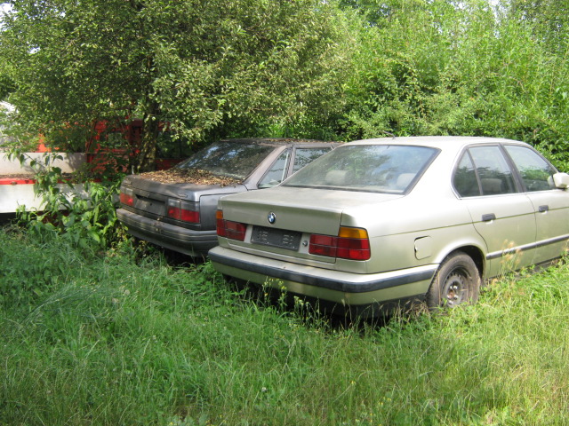 Cimitero di auto… sparito