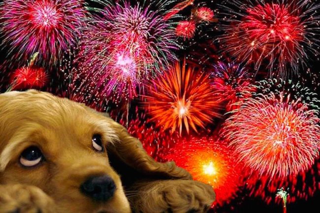 Botti a Capodanno: “Facciamo rispettare i divieti”