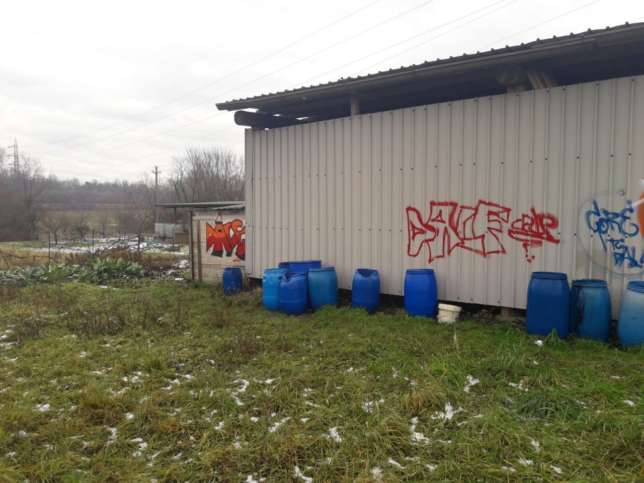 Vandali al laghetto
