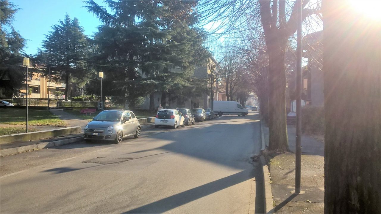 Radici pericolose, si abbattono i tigli in via Rimembranze a Nova Milanese