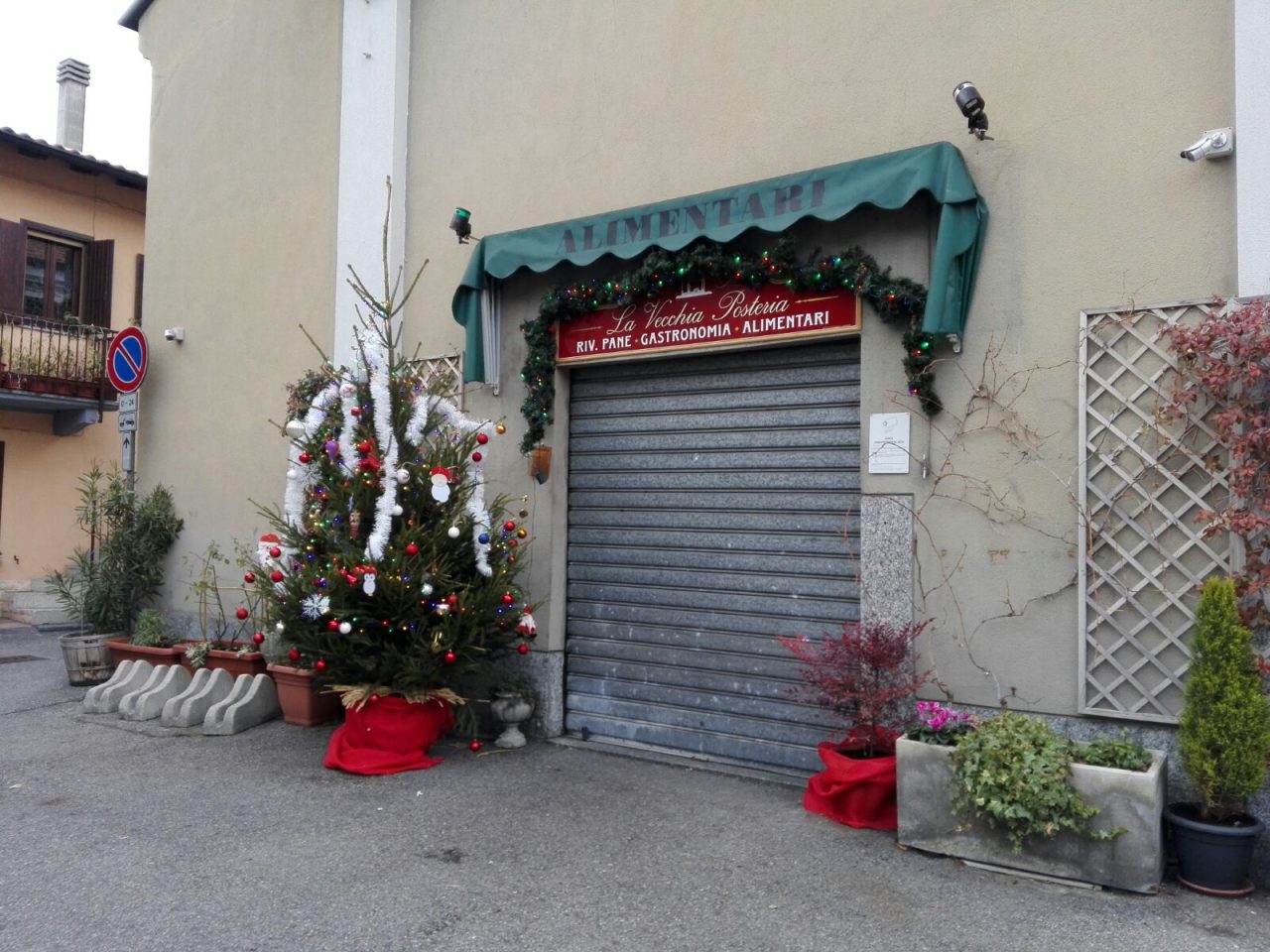 Natale Monza, un alberello per tutte le scuole