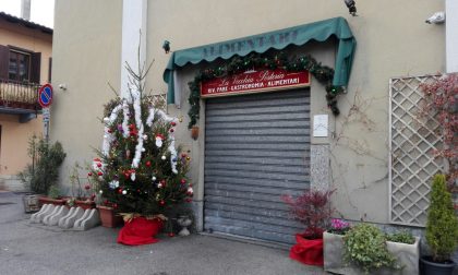 Natale Monza, un alberello per tutte le scuole