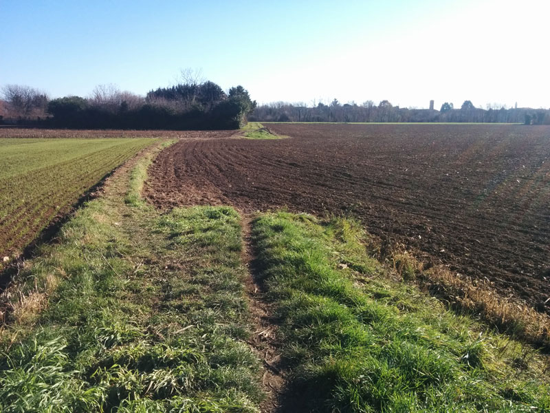 Dopo l’aratura il sentiero di via Santogne non c’è più