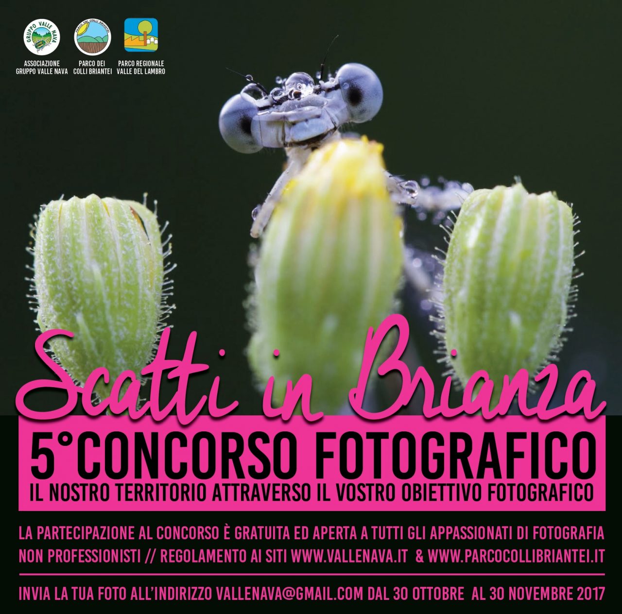 “Scatti in Brianza” venerdì la premiazione