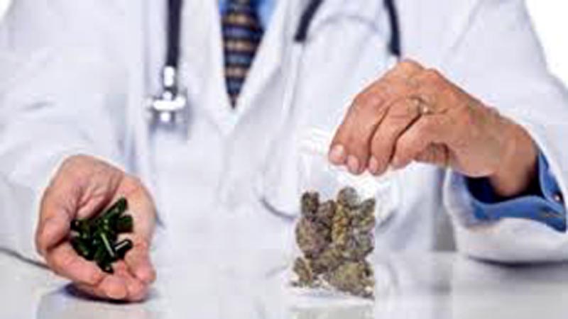 Cannabis curativa e legale? In Regione c’è chi dice no