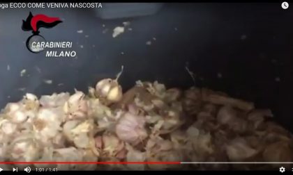 Droga, ecco come veniva nascosta