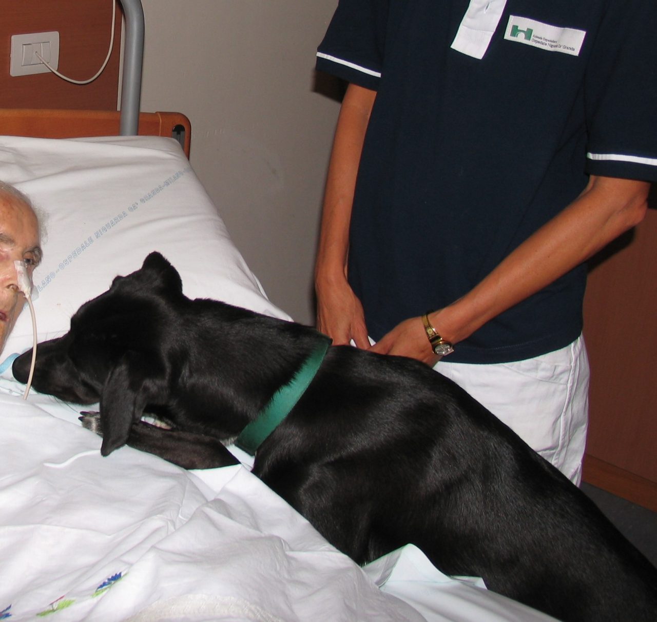 Cani in ospedale anche a Monza e Desio – ECCO LE REGOLE