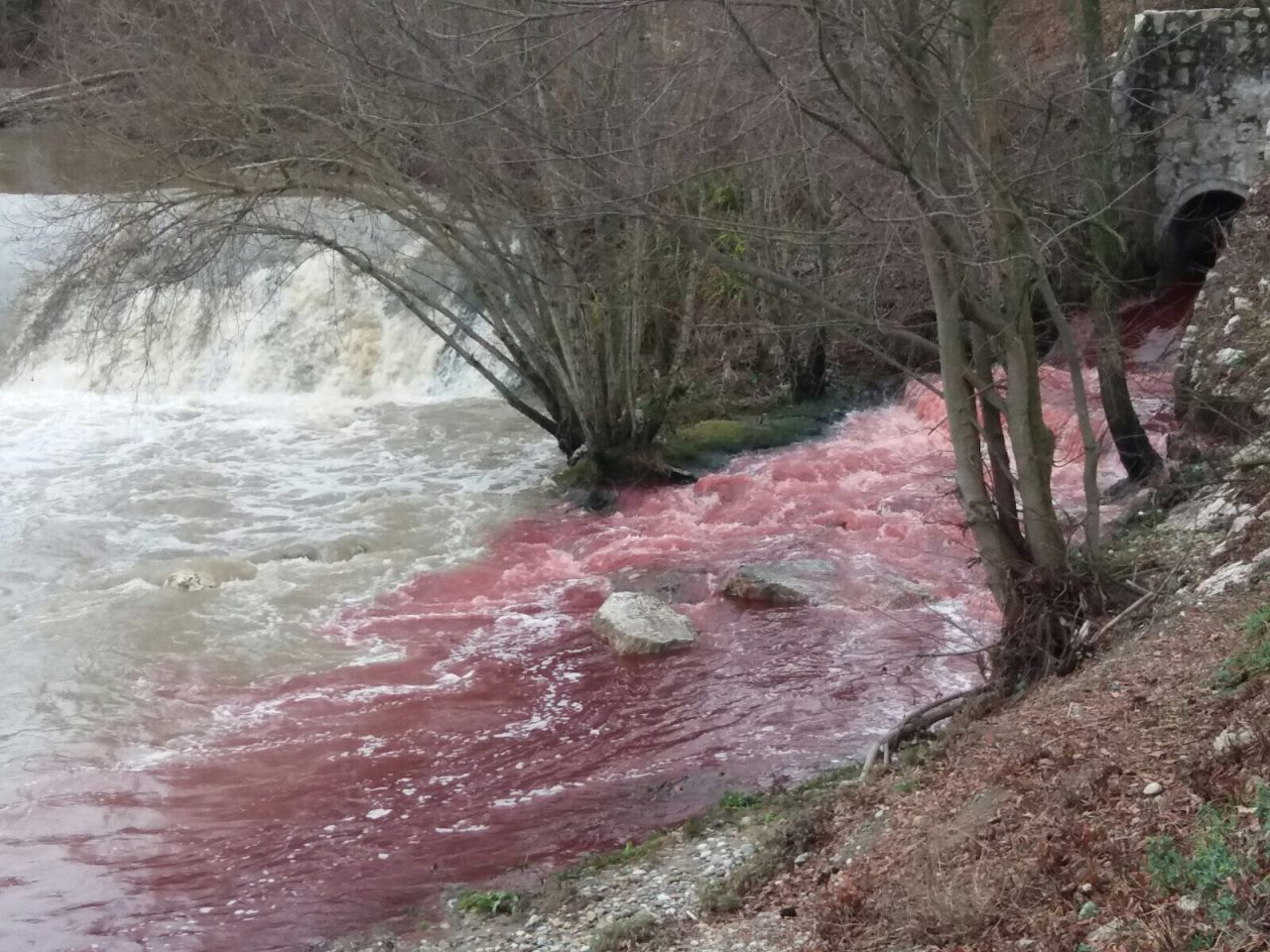 Il Lambro si colora di rosso FOTO e VIDEO