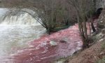 Il Lambro si colora di rosso FOTO e VIDEO