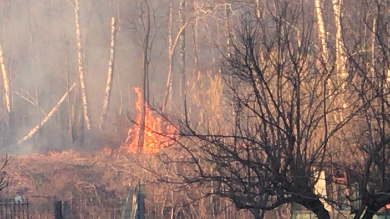 Incendio doloso nel parco delle Groane. FOTO e VIDEO