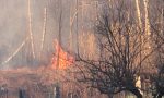 Incendio doloso nel parco delle Groane. FOTO e VIDEO