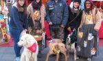 A Monza la Befana è anche per gli animali