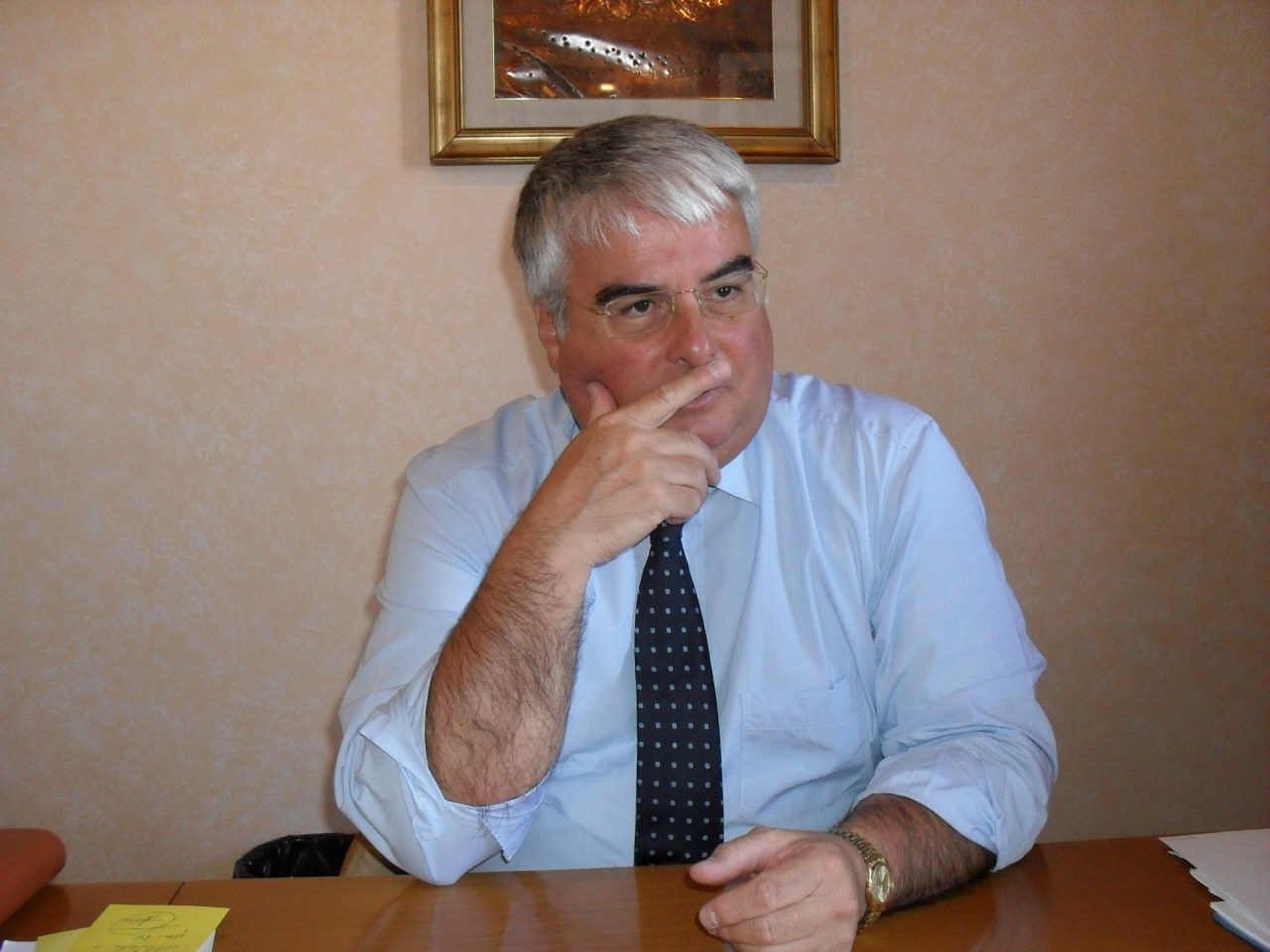 Il sindaco Borgonovo risponde all’associazione Minerva