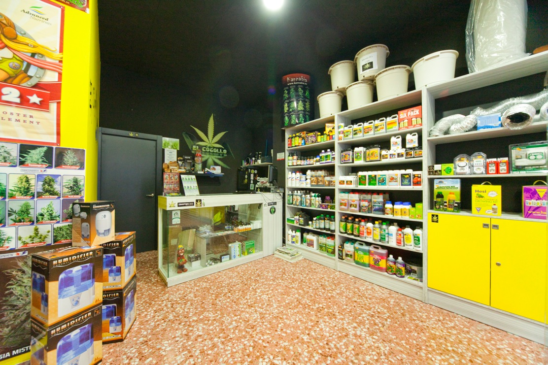 Negozi cannabis boom in Lombardia: in Brianza sono 6