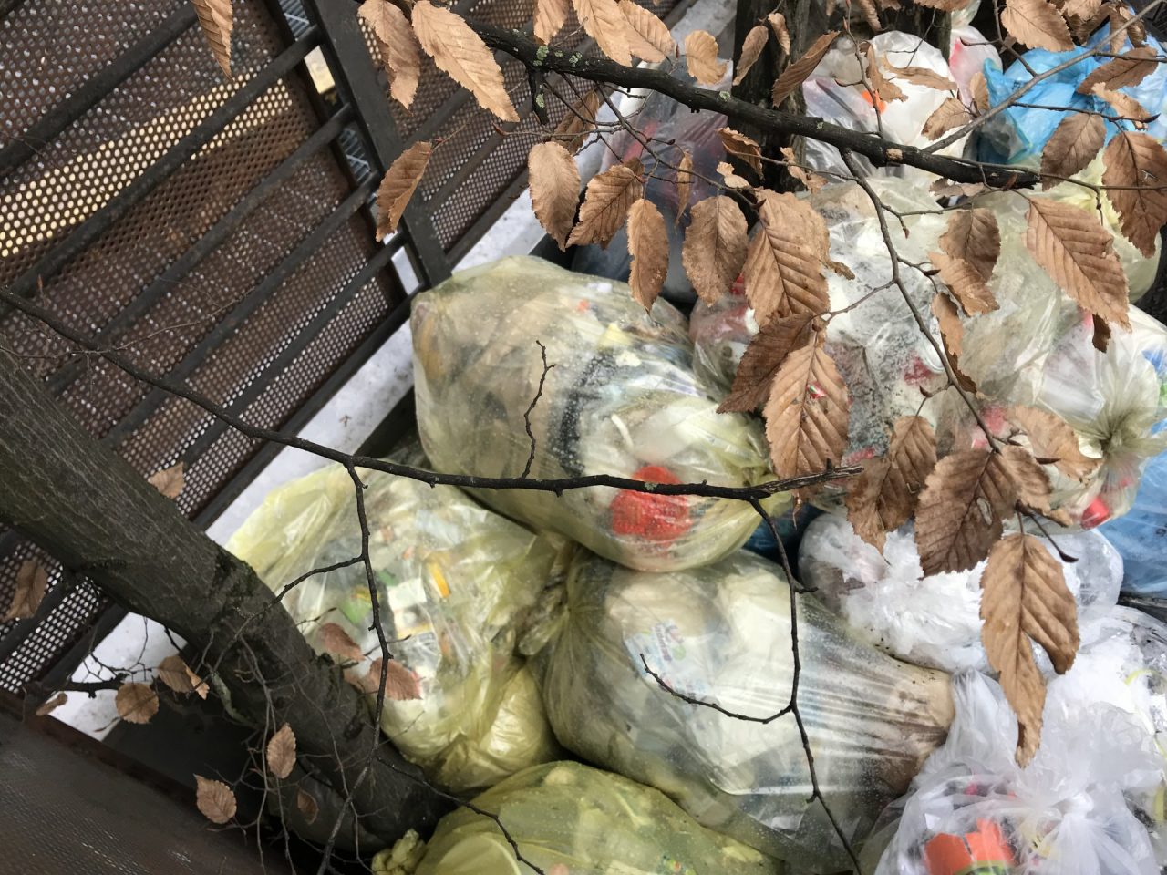 Riapre la discarica in piazza e tornano le proteste GALLERY