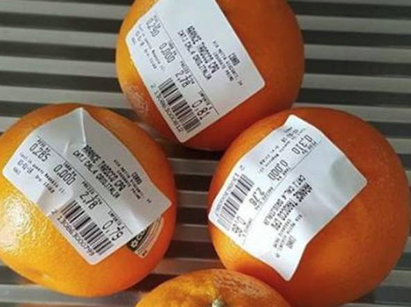 Sacchetti frutta a pagamento tanto rumore per 10 euro all’anno