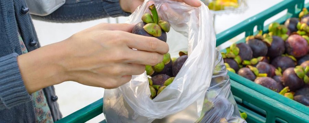 Sacchetti frutta a pagamento tutte le bufale della rete
