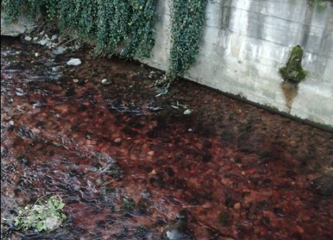 Il Seveso è rosso il Codacons fa un esposto in Procura