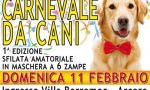 Anche i cani festeggiano il Carnevale