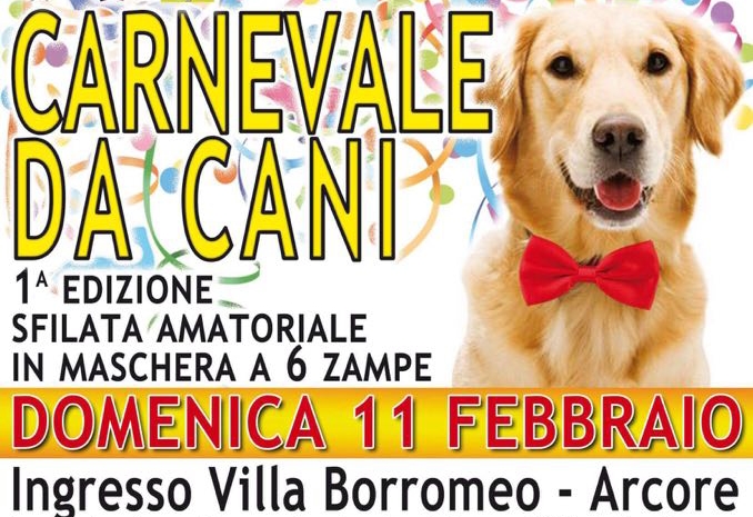 Anche i cani festeggiano il Carnevale
