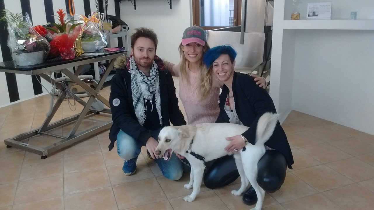 Toelettatura per cani a Burago, nuova apertura in città
