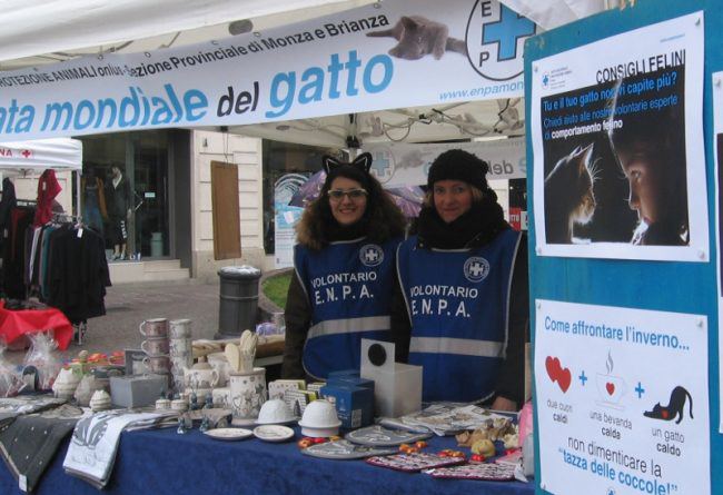 Origine e significato della Giornata del gatto –  Gli eventi in città
