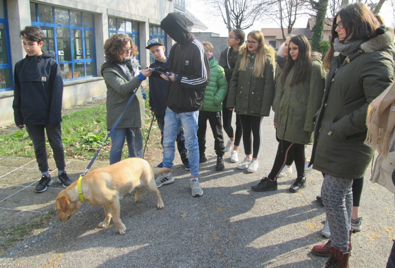Trezzo studenti delle medie a lezione di pet therapy FOTO